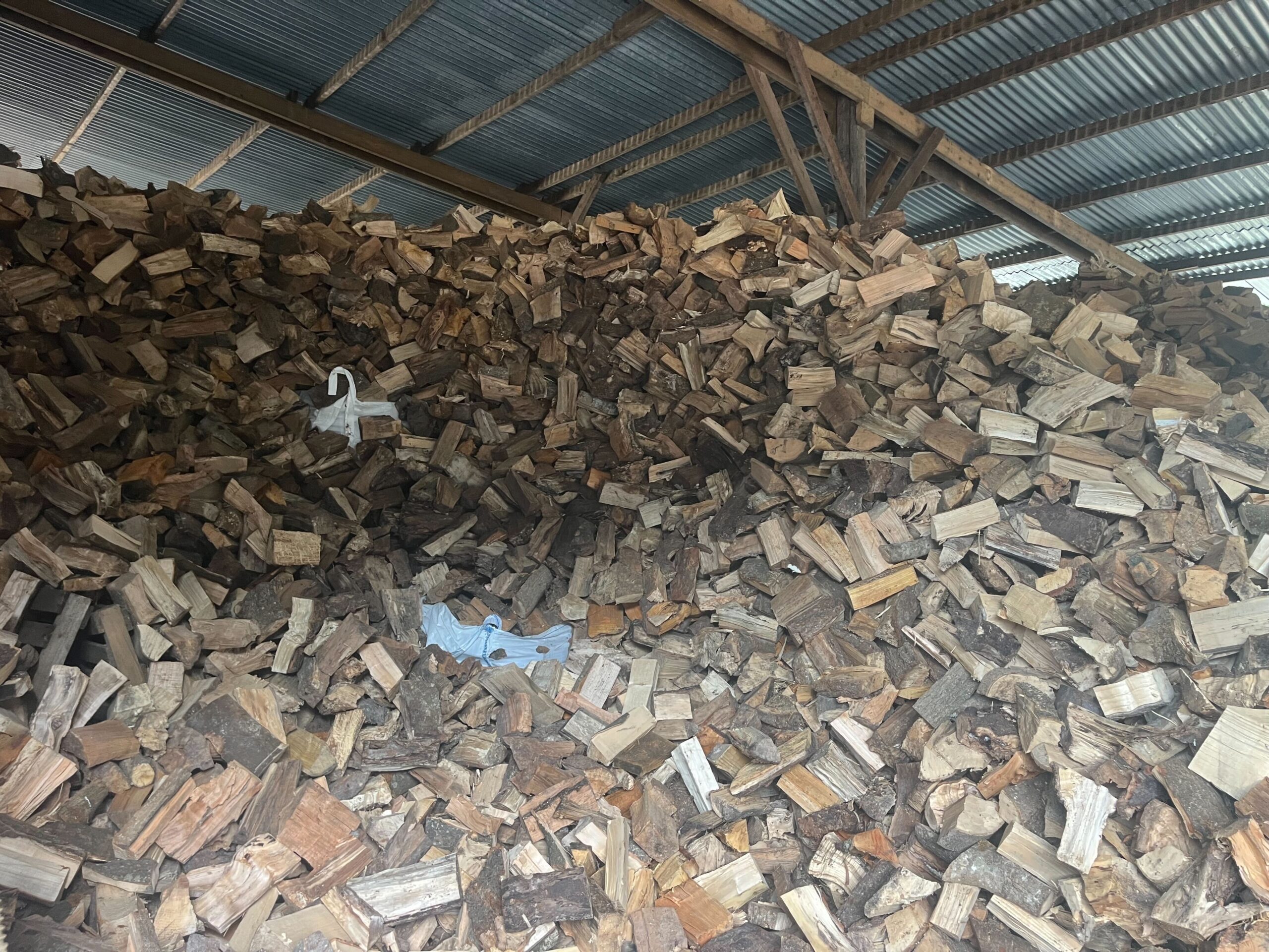 Firewood stored in yard