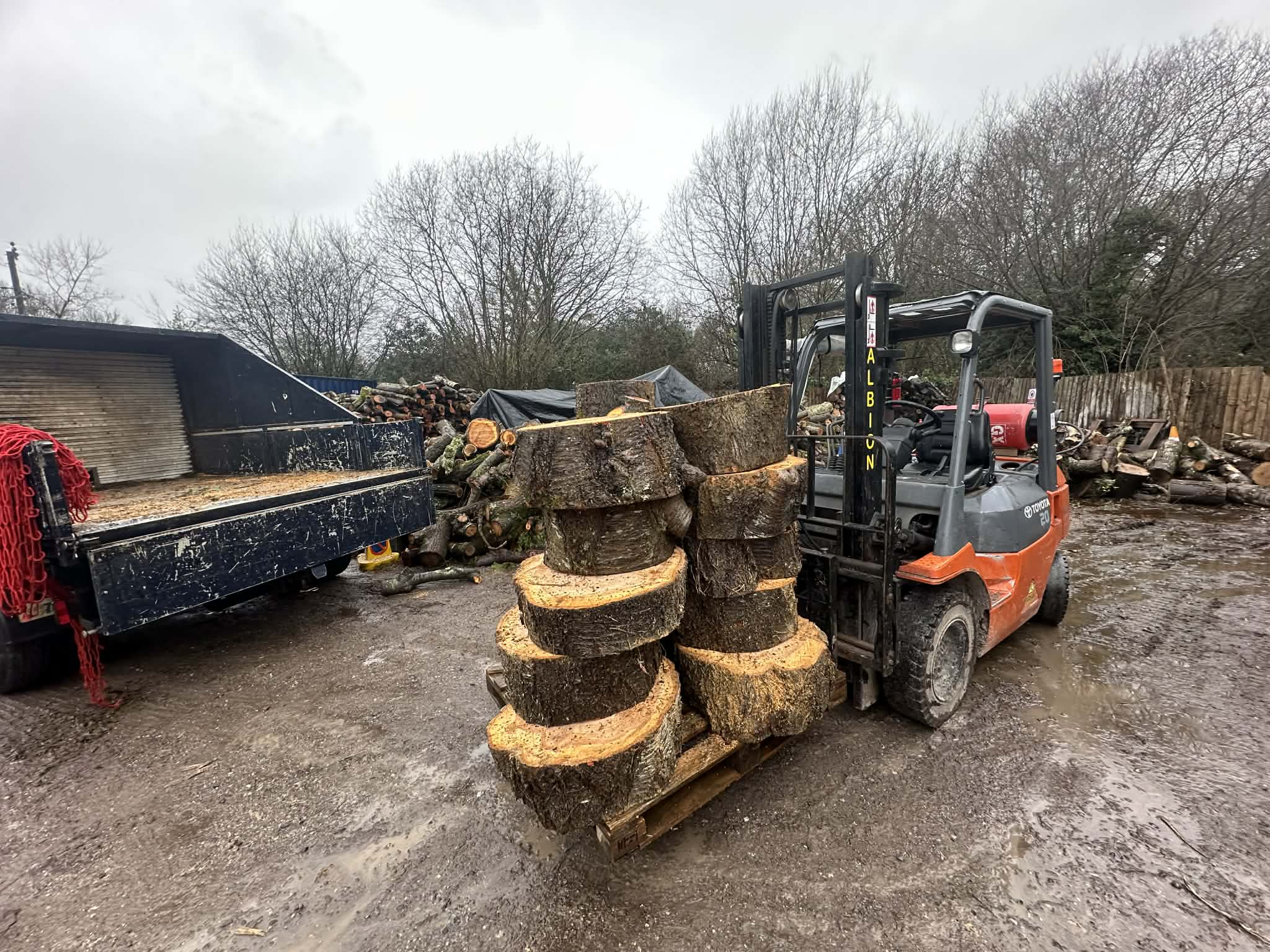 Forklift in timber yard
