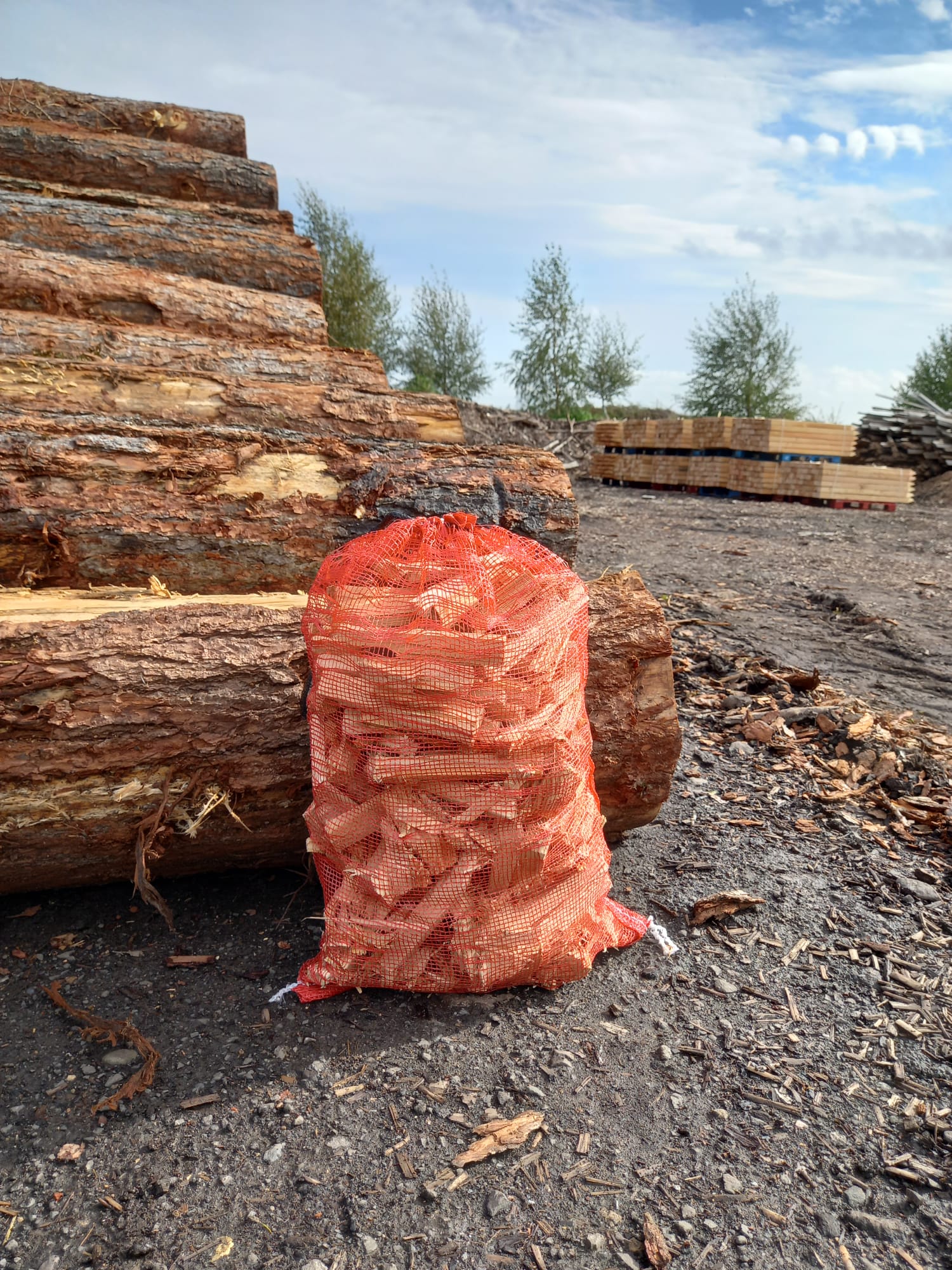Kindling stored in yard