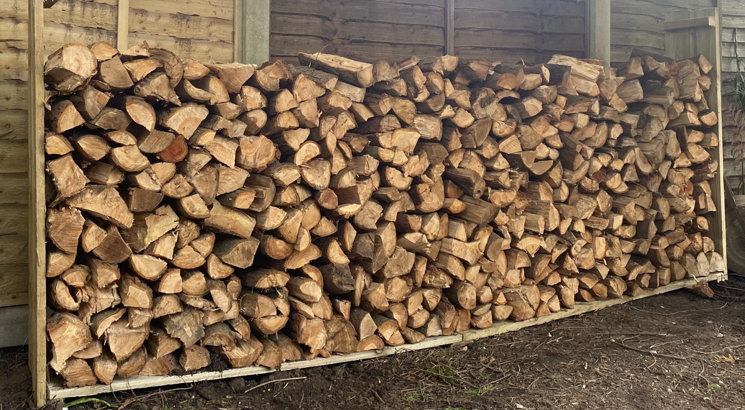 Hardwood logs