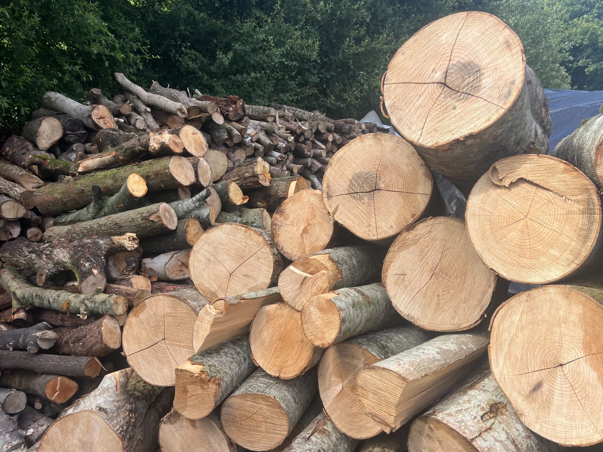 Decorative hardwood timber