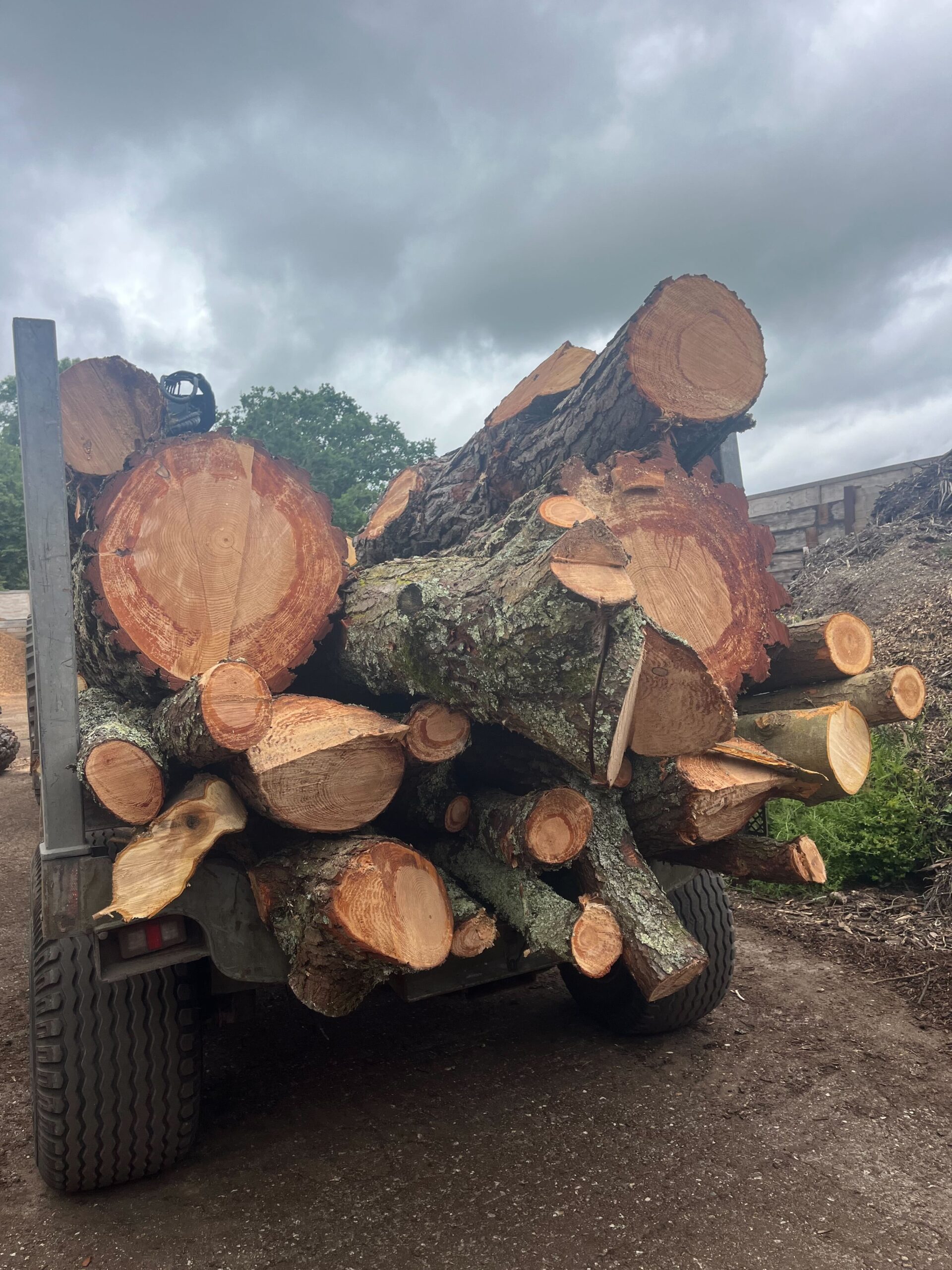 Tractor trailer loaded with firewood