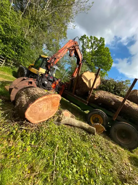A timber crane lifting a large tree trunk onto a trailer